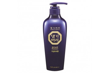 Шампунь для жирной кожи головы Daeng Gi Meo Ri Chungeun