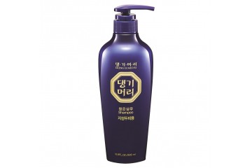 Тонизирующий шампунь для поврежденных волос Daeng Gi Meo Ri ChungEun Shampoo for damaged hair